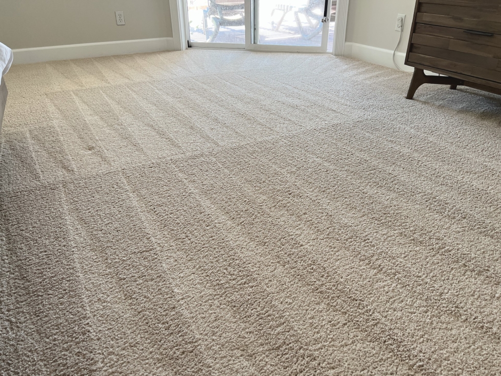 Freshly cleaned carpet in a bright living room