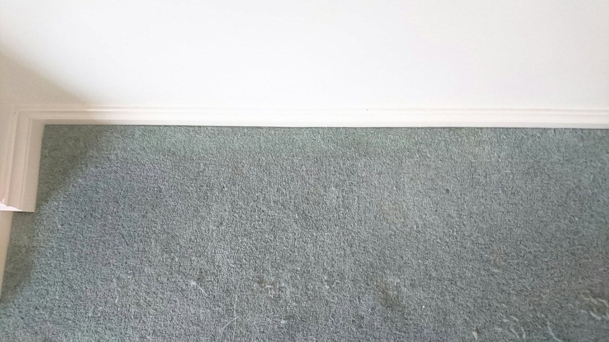 Carpet moth damage after