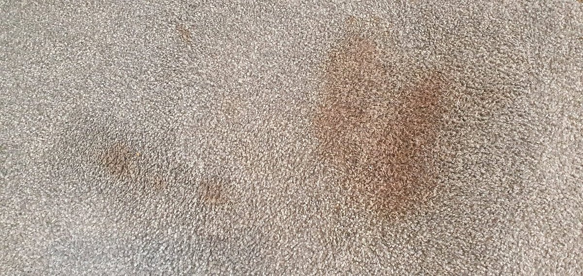 Stain removal 2 before