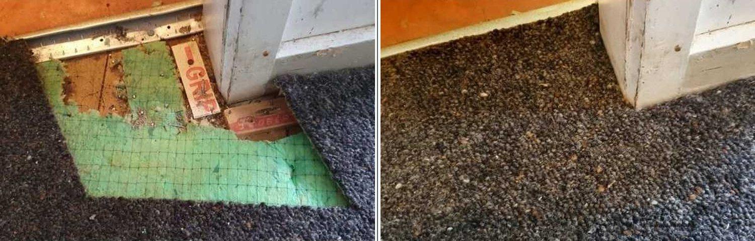 Pet damage repaired: before and after