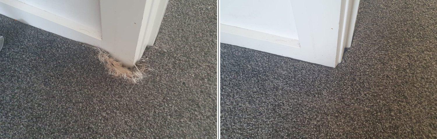 Pet damage repair 5: before and after