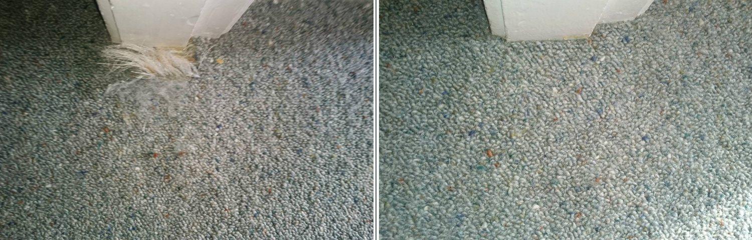 Pet damage repair 6: before and after