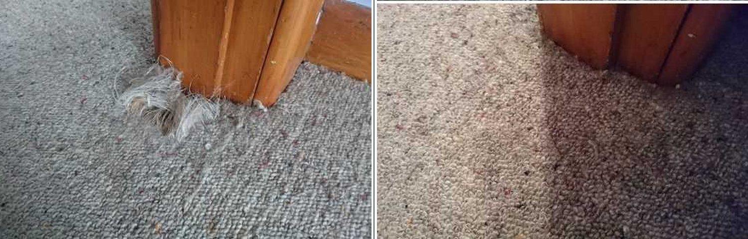 Pet damage repair 3: before and after