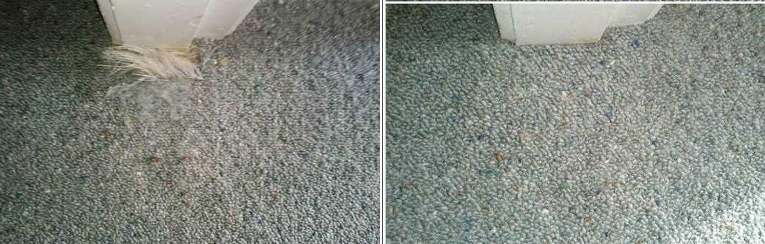 Pet damage repair 4: before and after