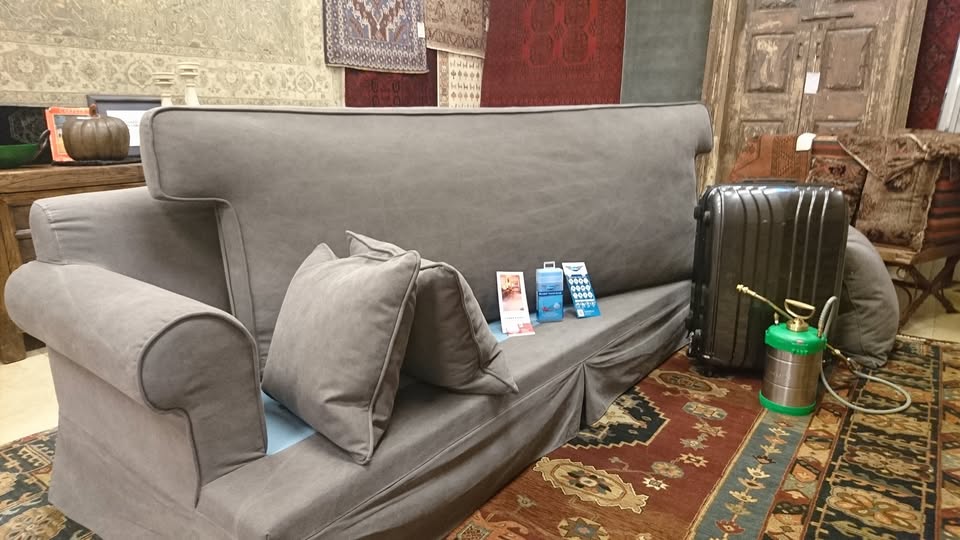 Living room sofa and rug protected with Microseal