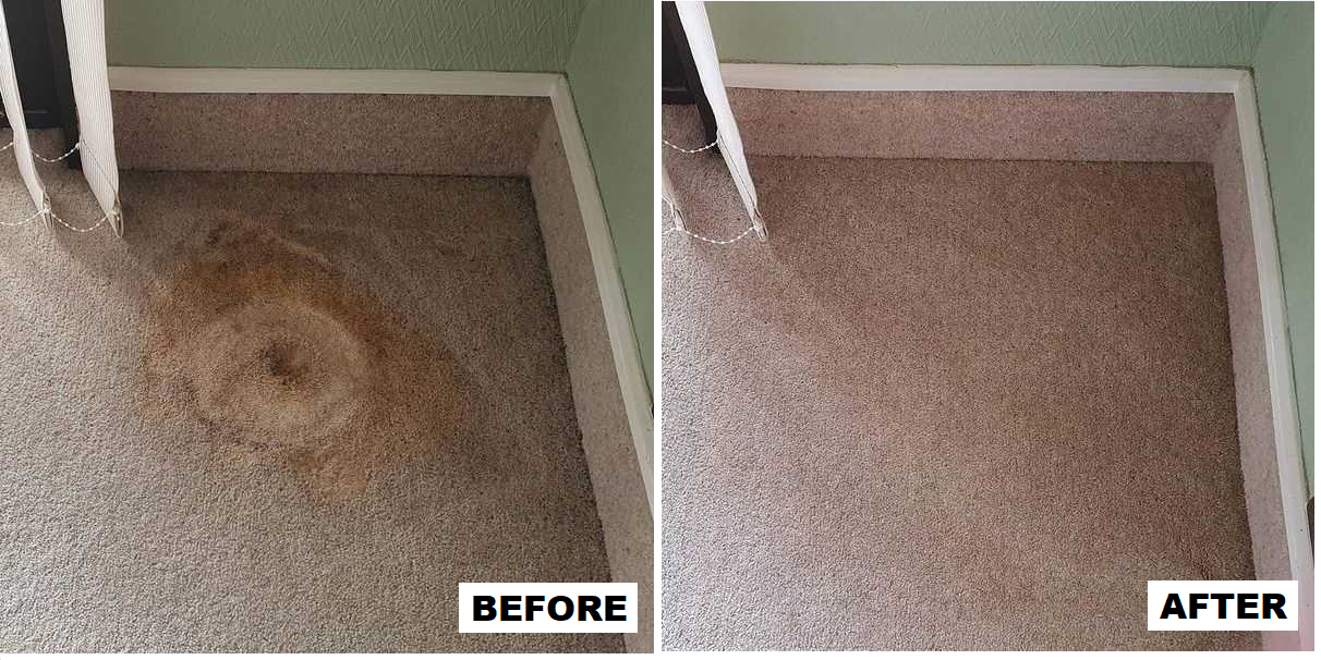 Before and after: pot plant damage removed from carpet