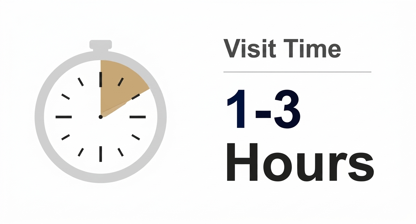 Visit time: 1 to 3 hours