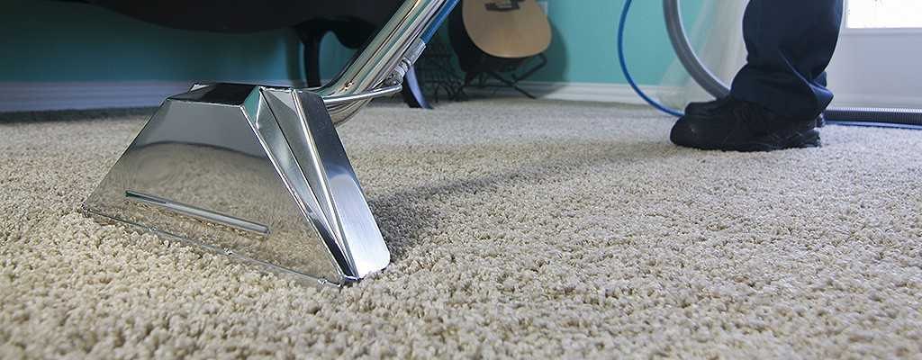 Happy customer testimonial for Carpet Pro