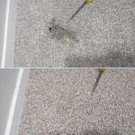 Burnt Carpet, Repaired, Before and After