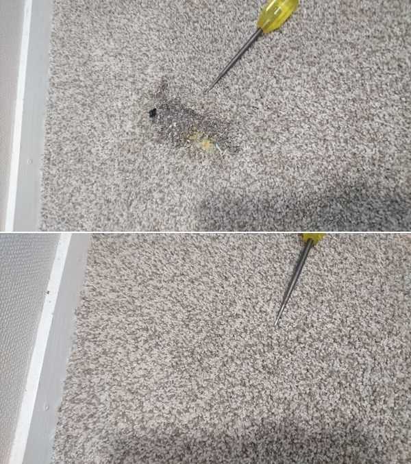 Burnt Carpet, Repaired, Before and After