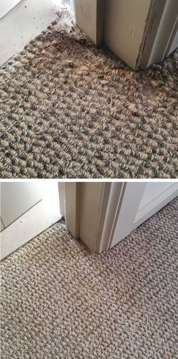 Carpet Rott, Repaired, Before and After