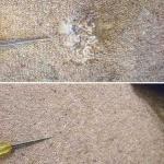 Damaged Carpet, Chair Leg Damage, Repaired