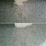 Damaged Carpet, Pet Damage, Before and After