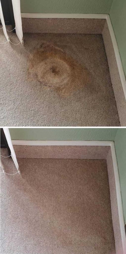 Plant Rot, Repaired, Before and After, Carpet Repairs contact