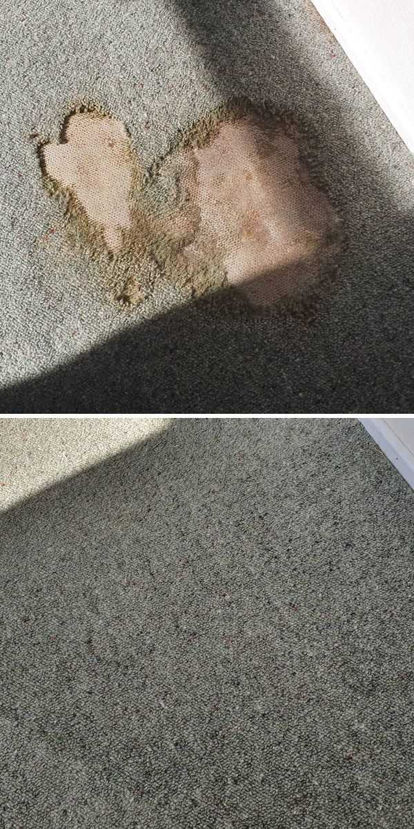 Water Damage, Carpet, Repair