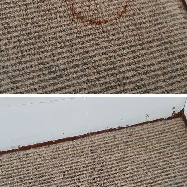 Carpet Repairs By Your Local Trusted Professional