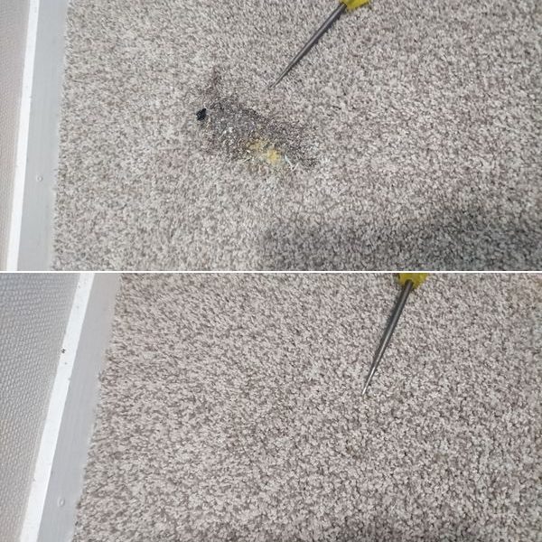 Carpet Repairs By Your Local Trusted Professional