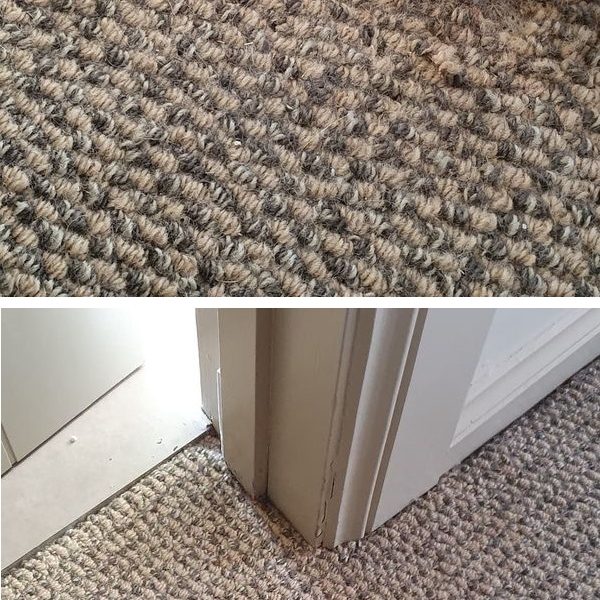 Carpet Repairs By Your Local Trusted Professional